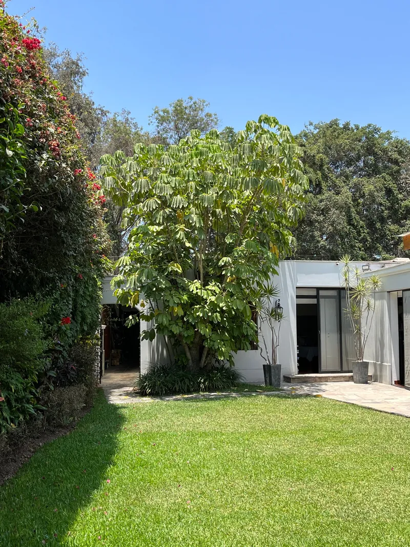 Jardín y la casa