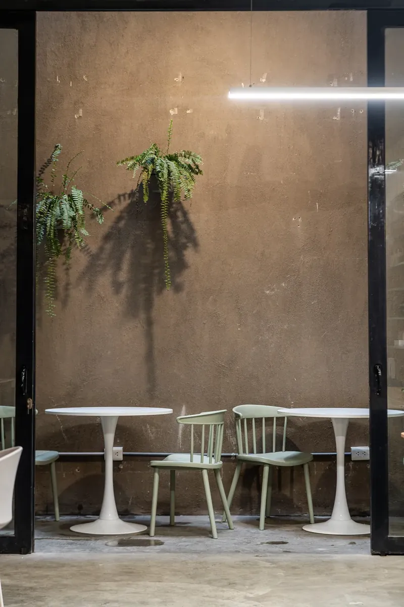 Patio interior con plantas